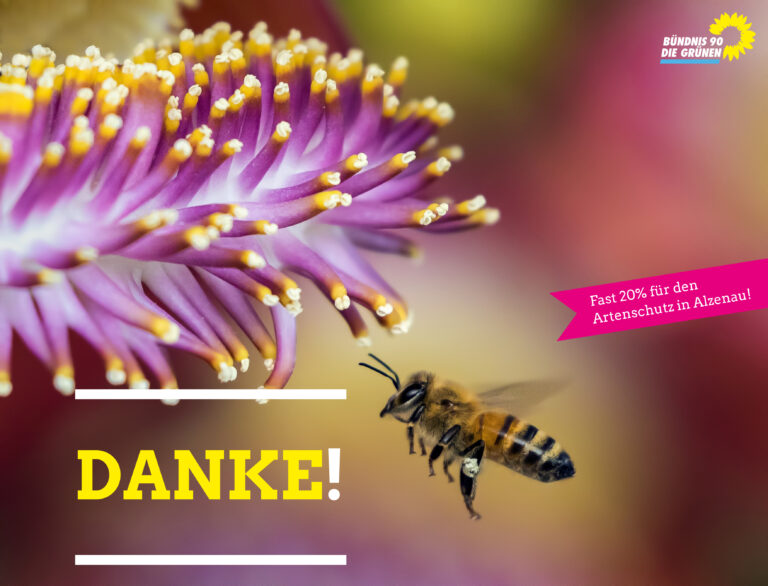 Fast 20% für „Rettet die Bienen“ in Alzenau! Danke!