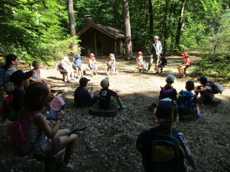 Ferienspiele: Kinder erlernen die wichtigen Funktionen des Waldes