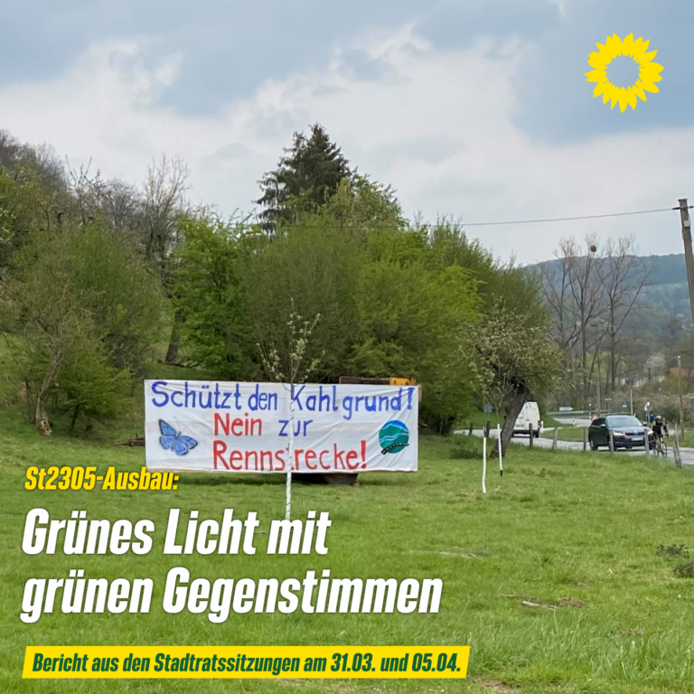 Grünes Licht mit grünen Gegenstimmen für den St2305-Ausbau