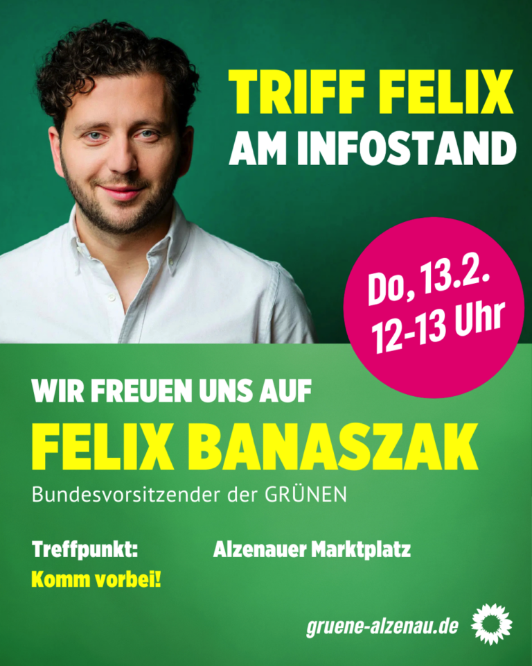 Wahlkampfstand auf dem Marktplatz mit Felix Banaszak und Niklas Wagener