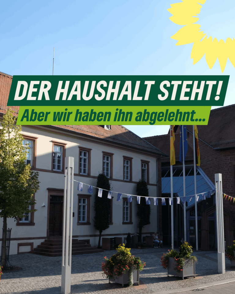 Haushalt steht, aber ohne Zukunft!